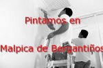 pintor_malpica-de-bergantinos.jpg